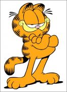  Garfield